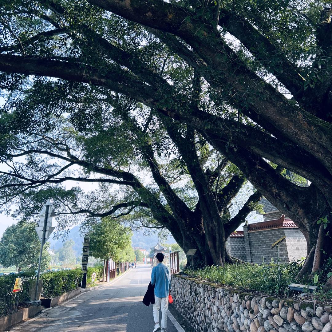 沛雨