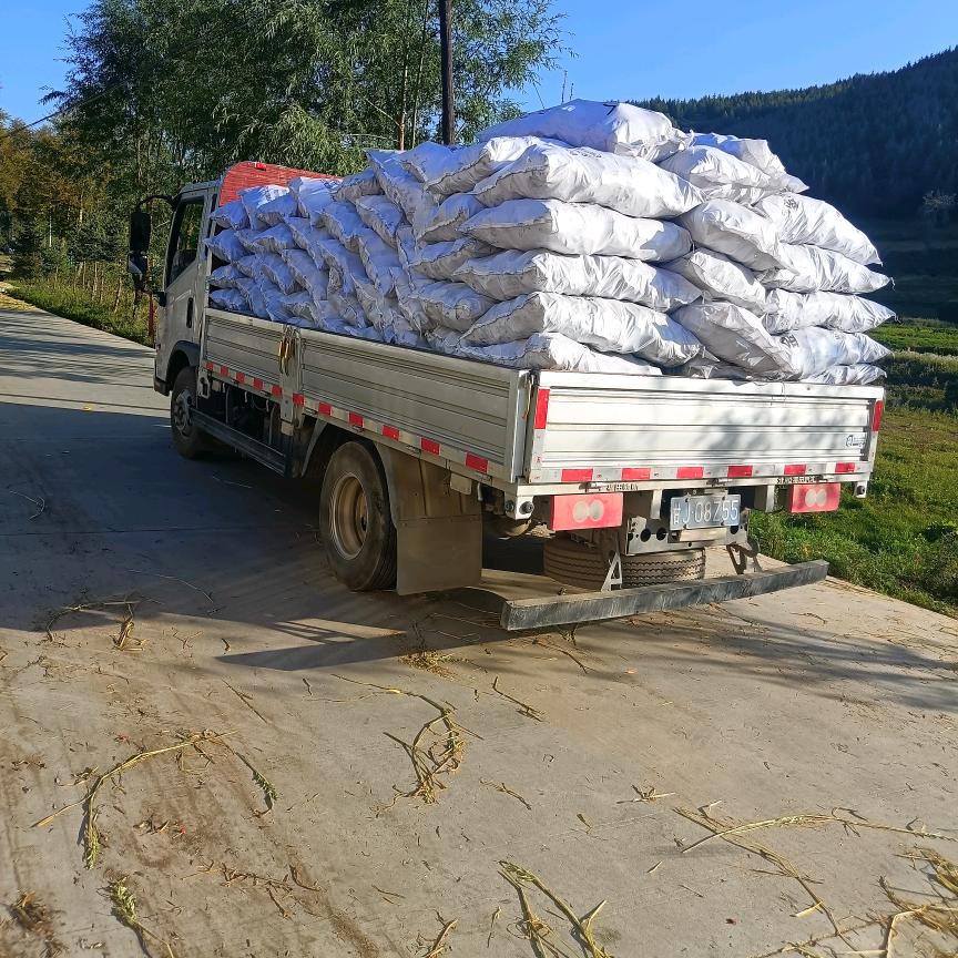 迷失了的方向。