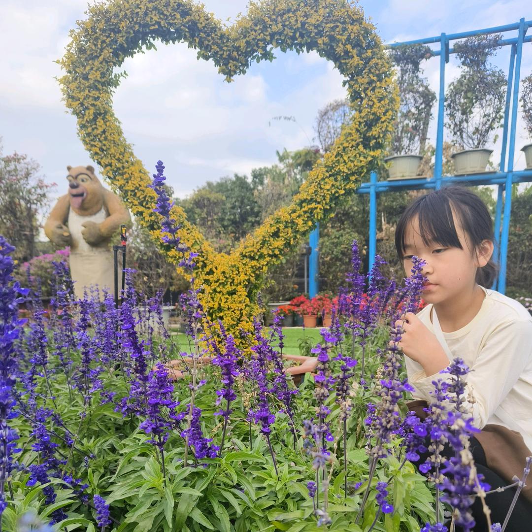 淡然