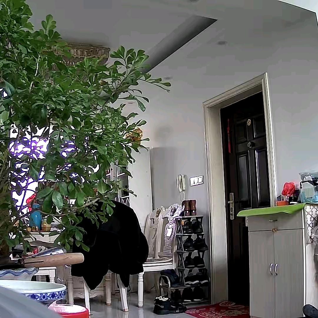 ∨烟花三月🌊281