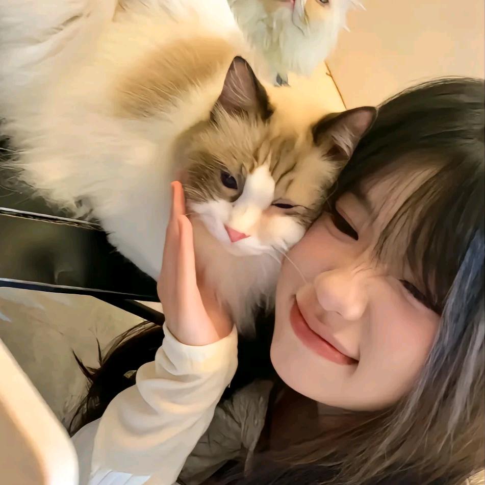 涵涵涵