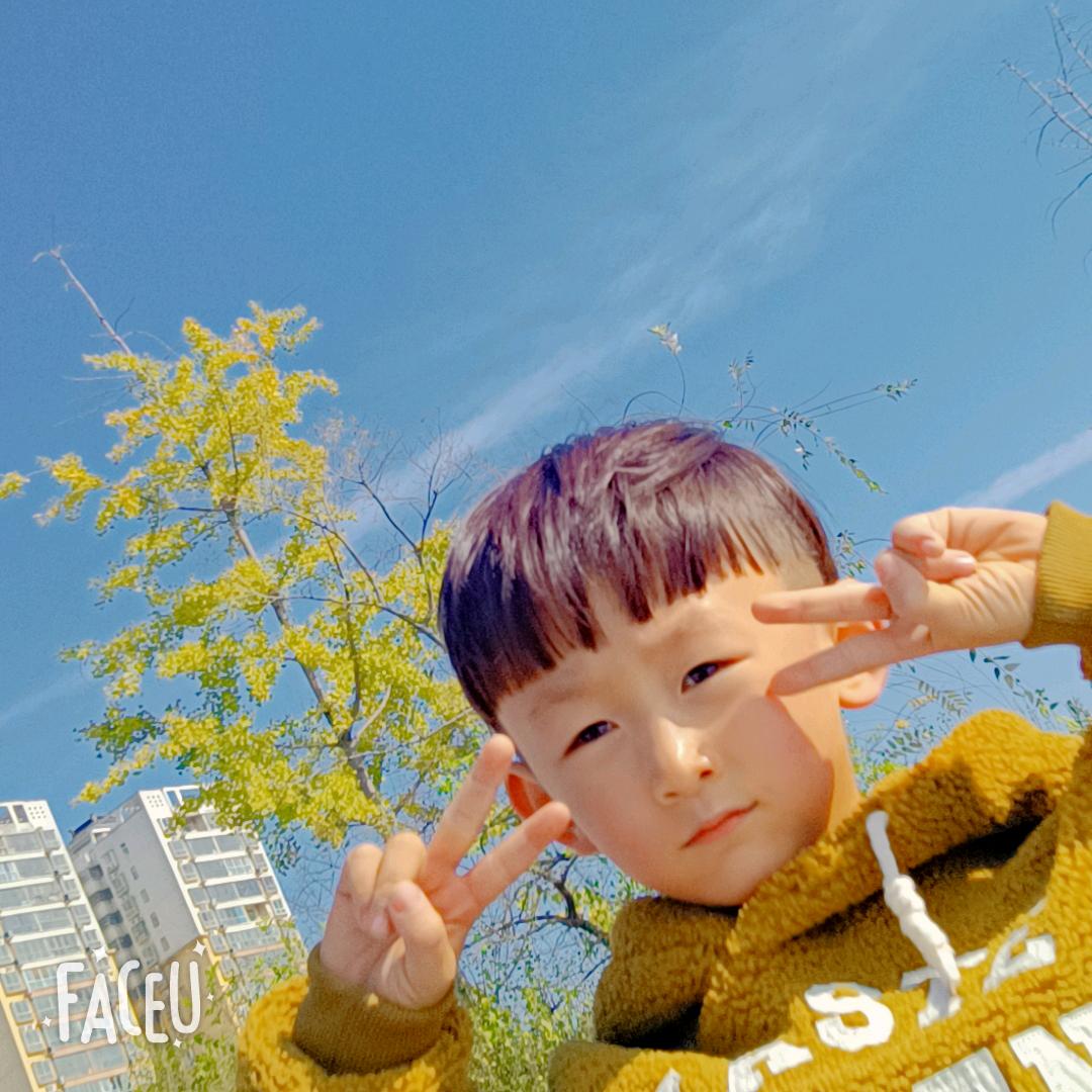 🌔黄昏四季🌾
