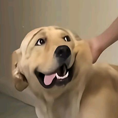 陌生人请勿打扰