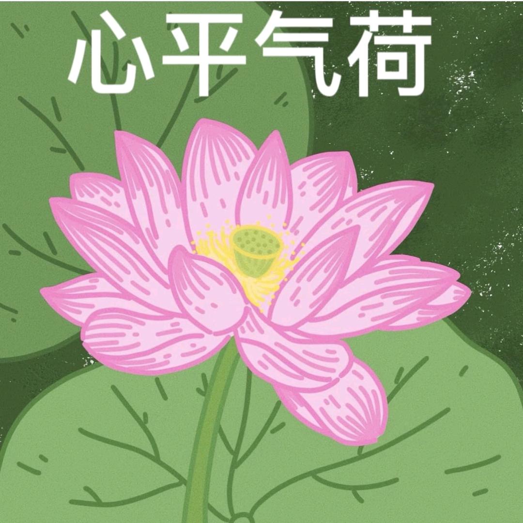 神马都是浮云
