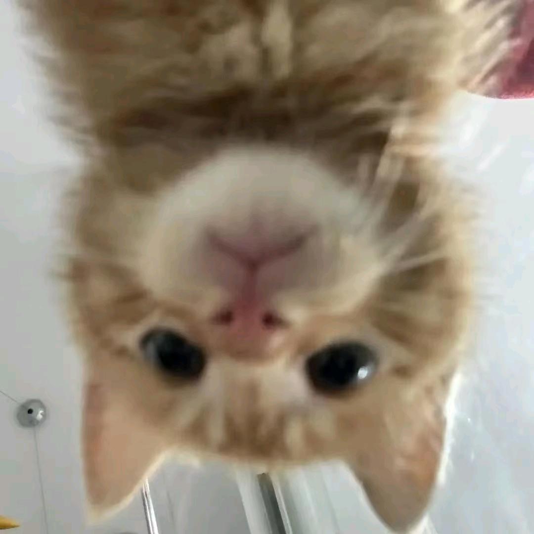 ˇ