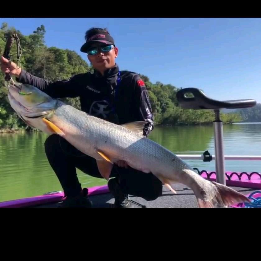 阳明湖王少🎣(路亚）
