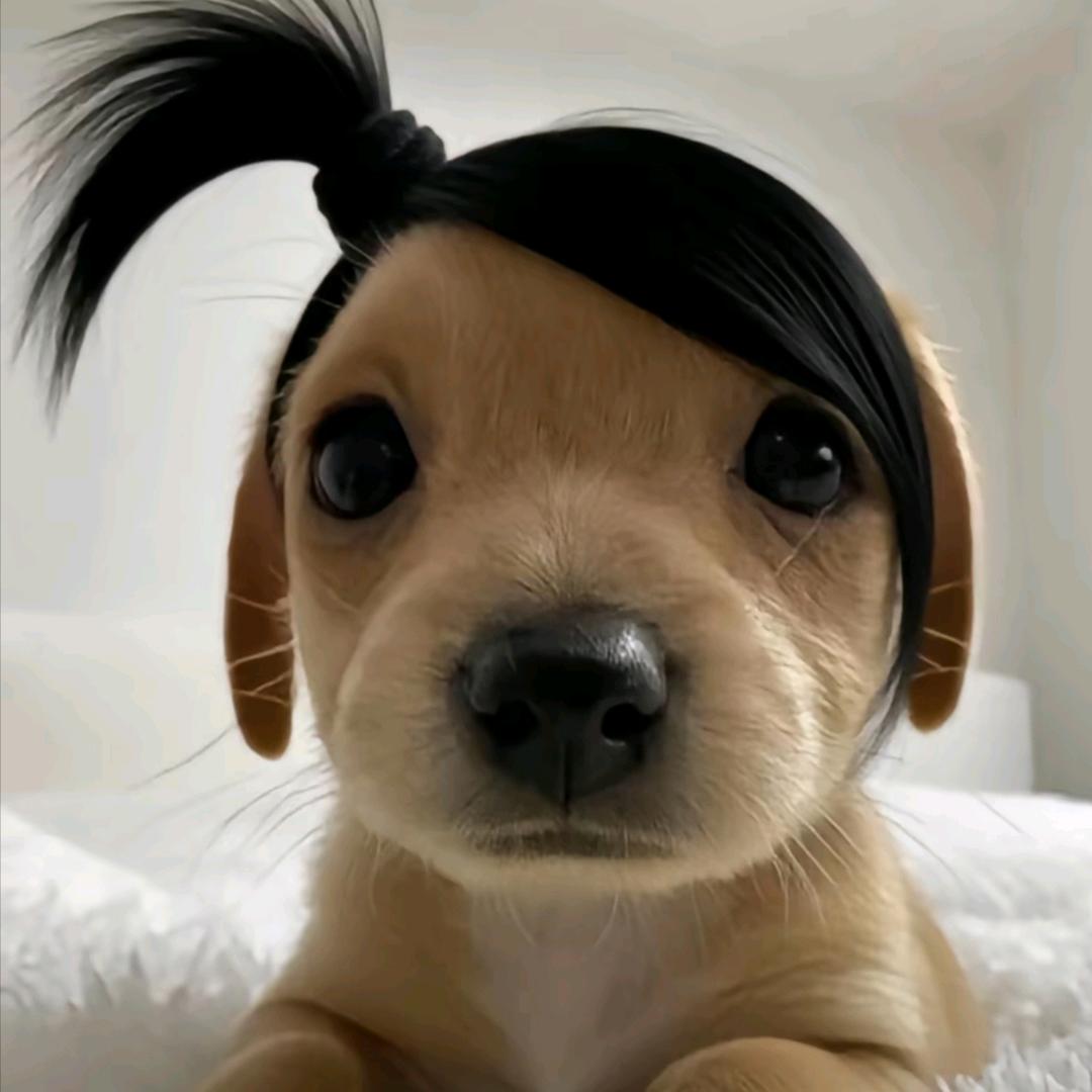 JAN