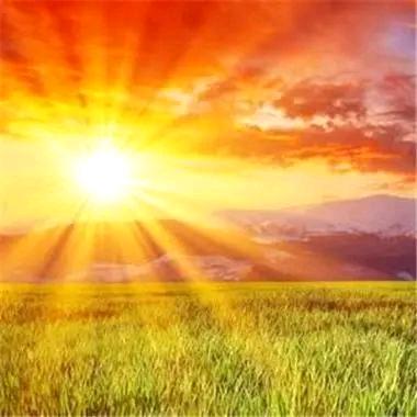 ꧁༺ཌ心向阳光ད༻꧂