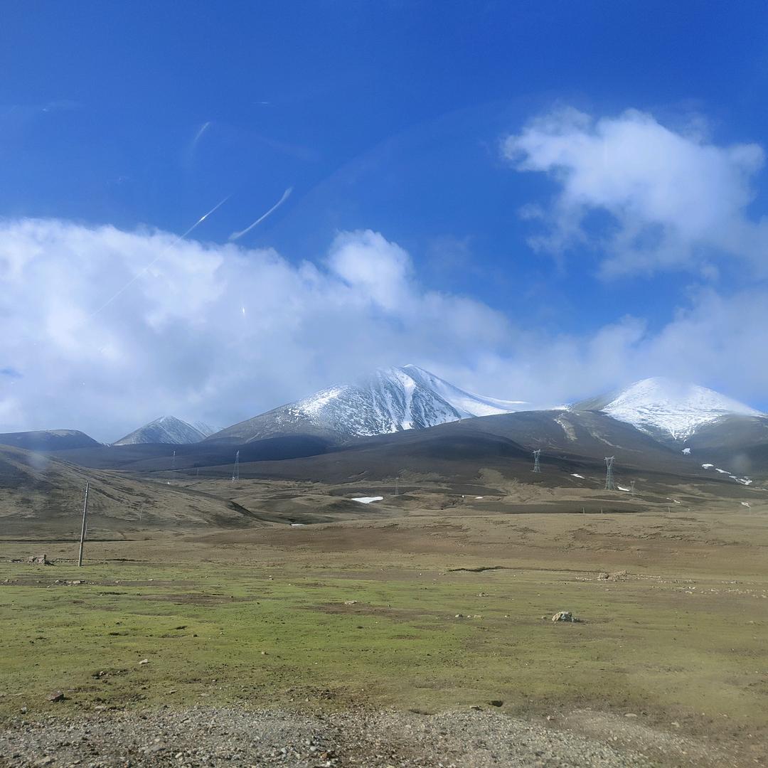 🕊️岁月静好🕊️