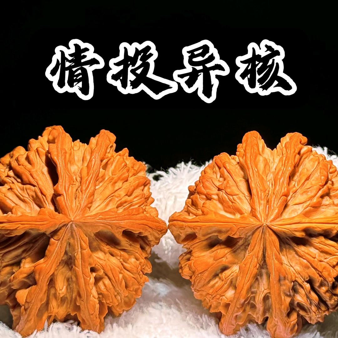 涞水情投异核