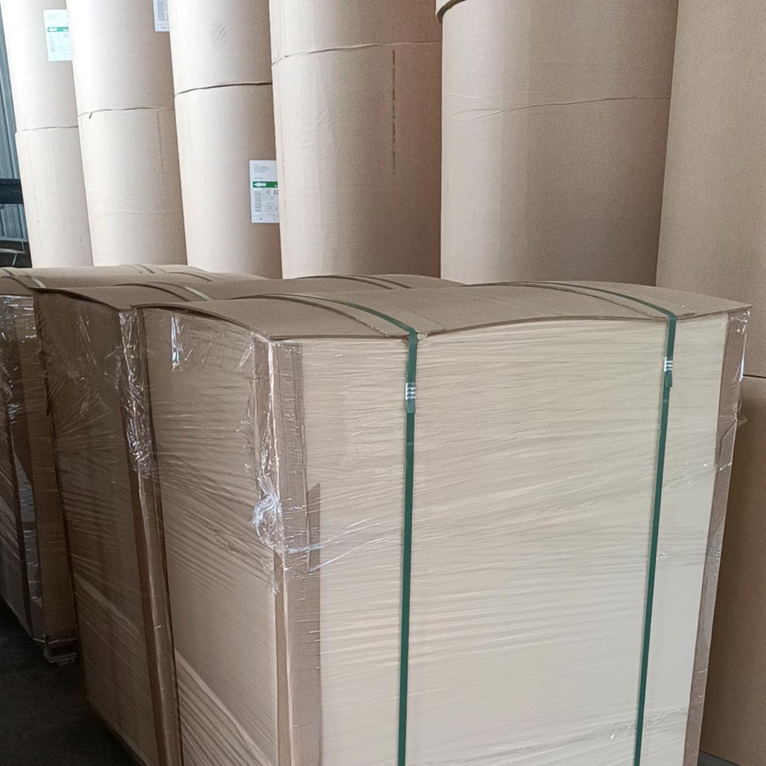 试卷纸