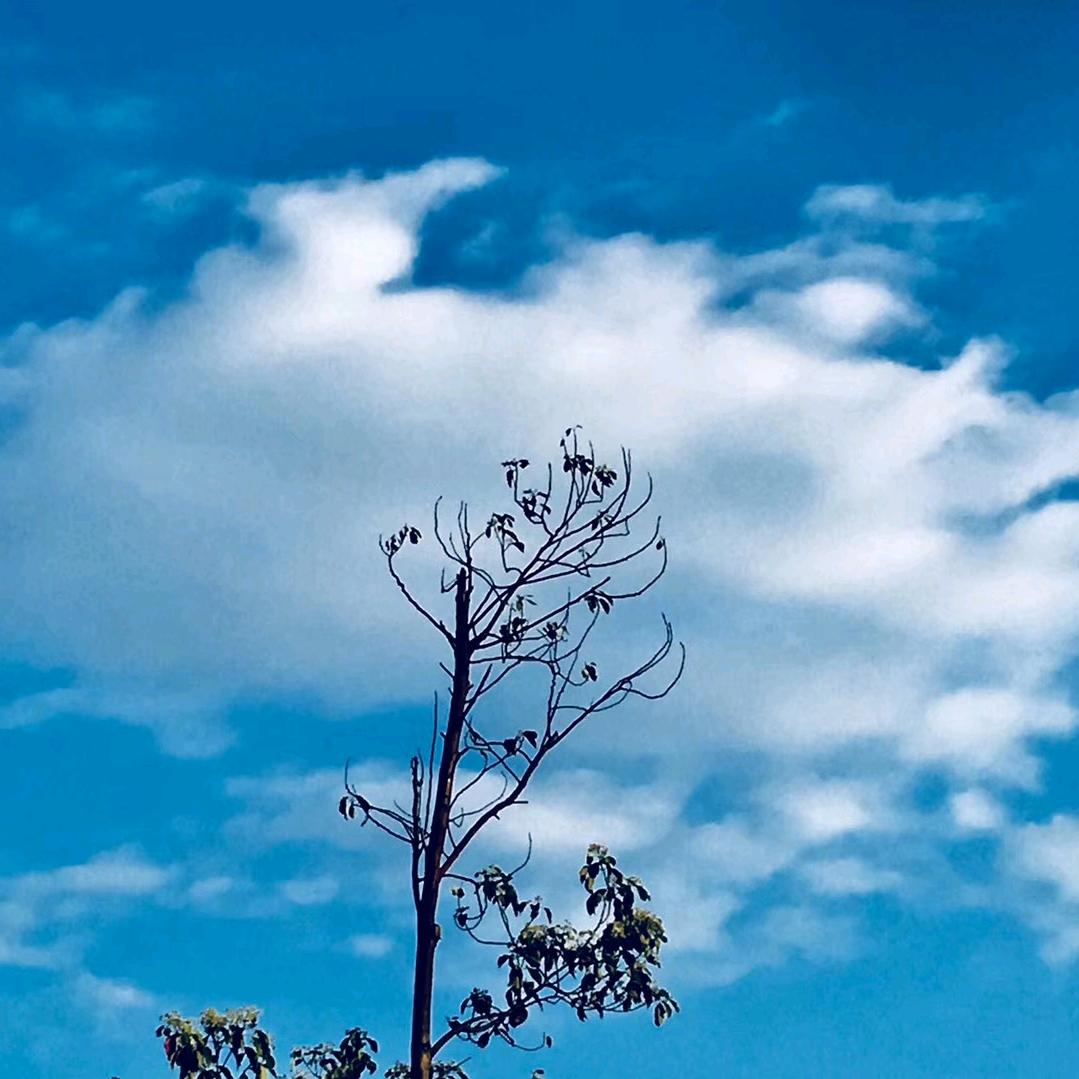 雨中漫步