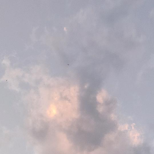 一碗小米周