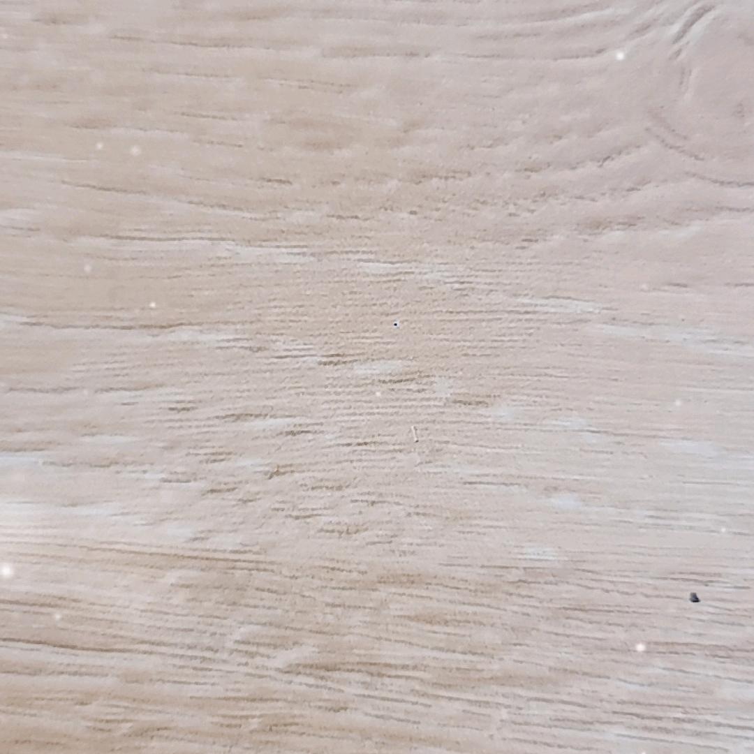 教育培训英语老师