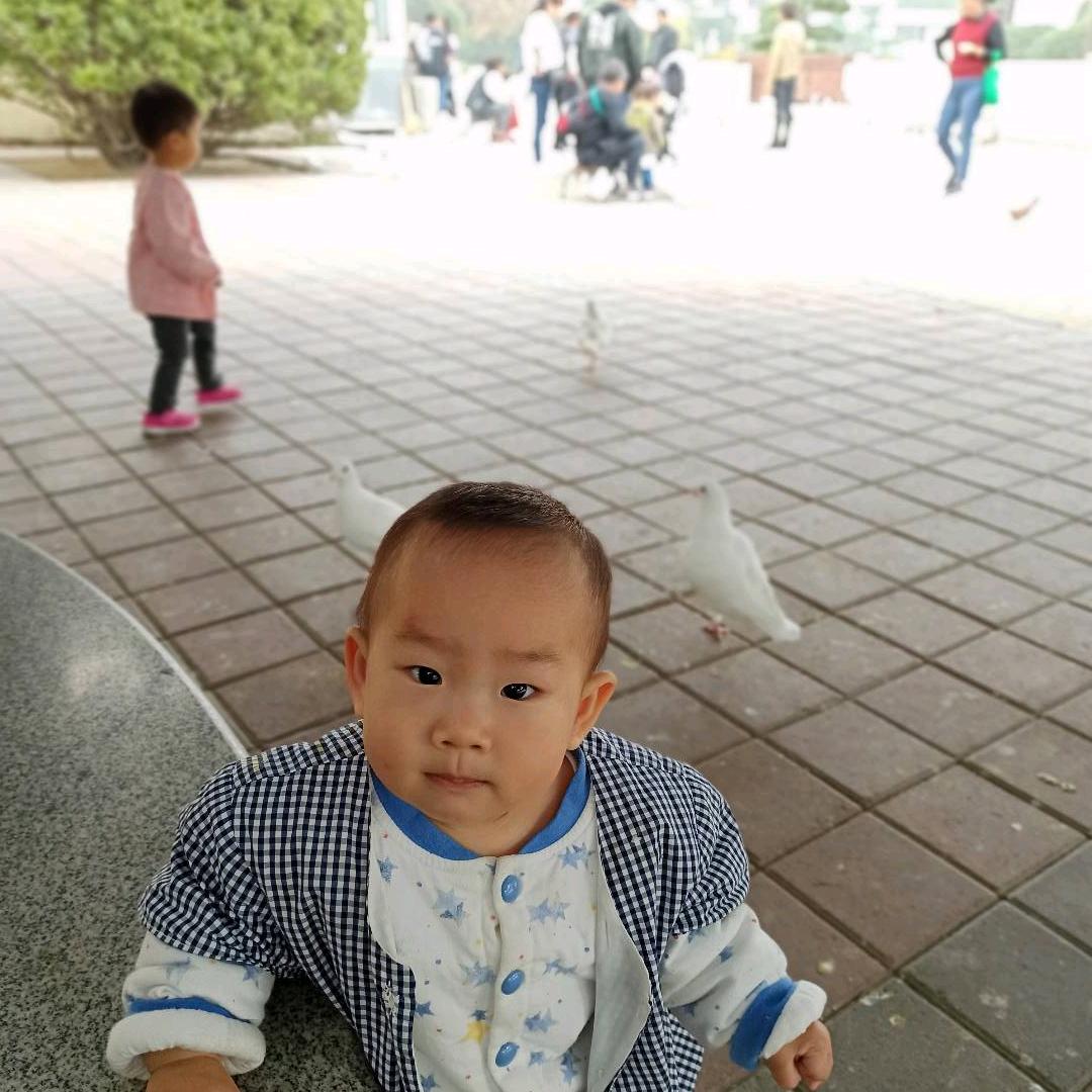 铭铭