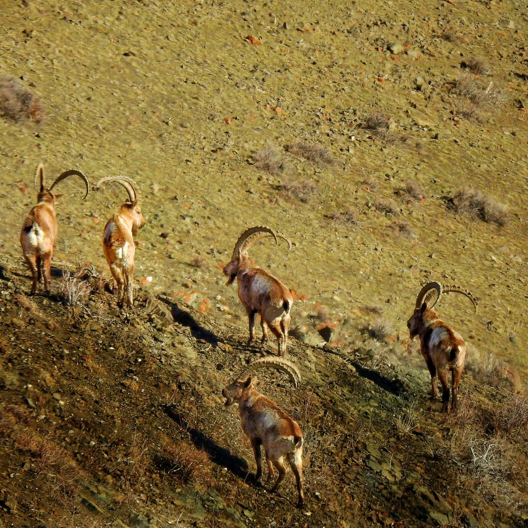 山侍的创业日记