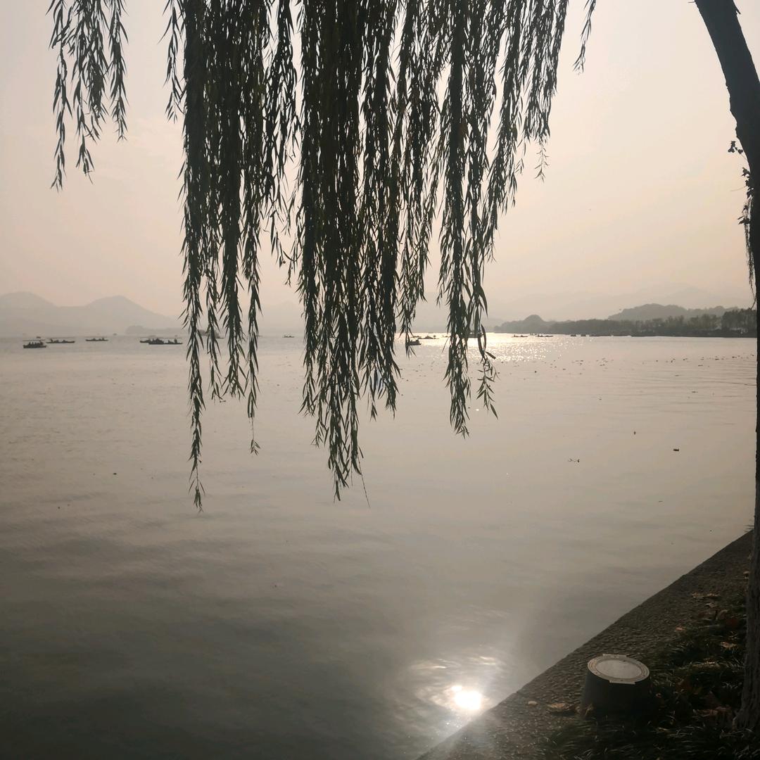 逐流