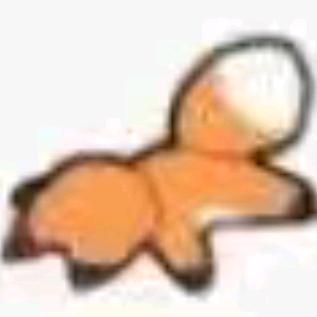 懒爱～