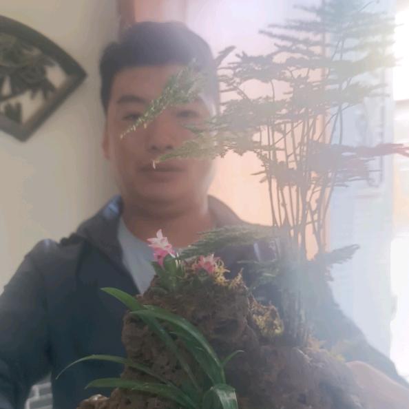 侯马抖音大咖