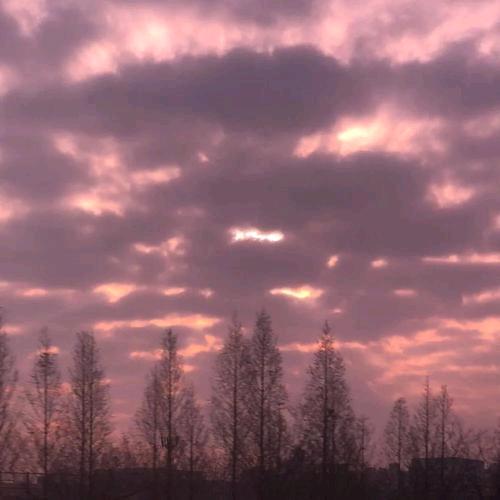 怜悯