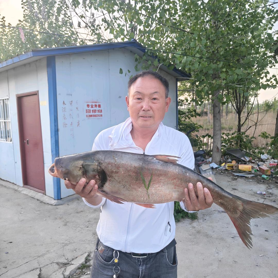 汲冢镇，谭老家水库