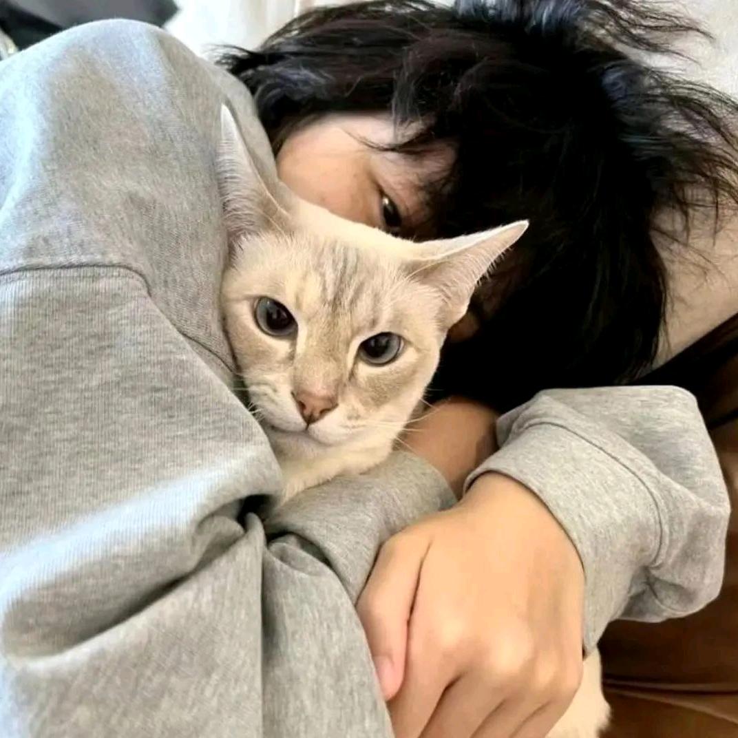 ls秋的回响