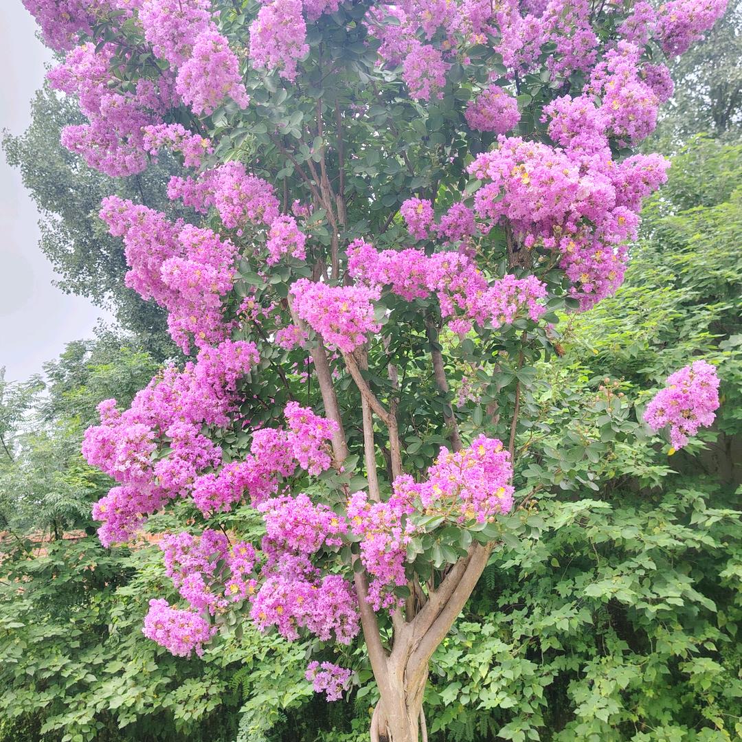 财源滚滚达三江