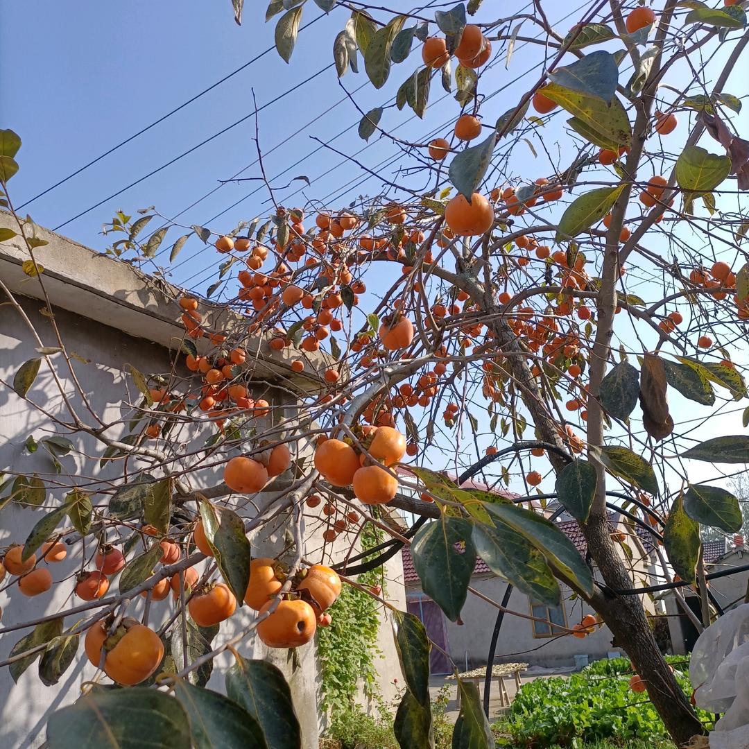 💖鑫💞💞浩rǎn