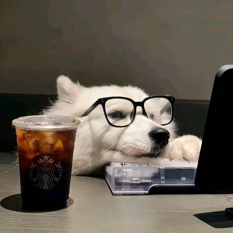 蹲在墙头看苍桑