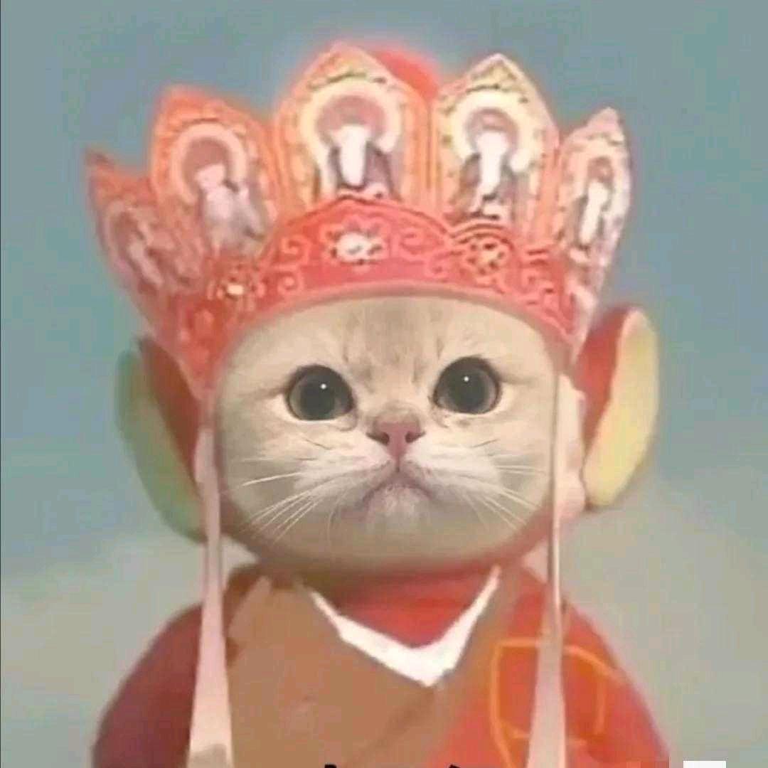 晨風轩翊