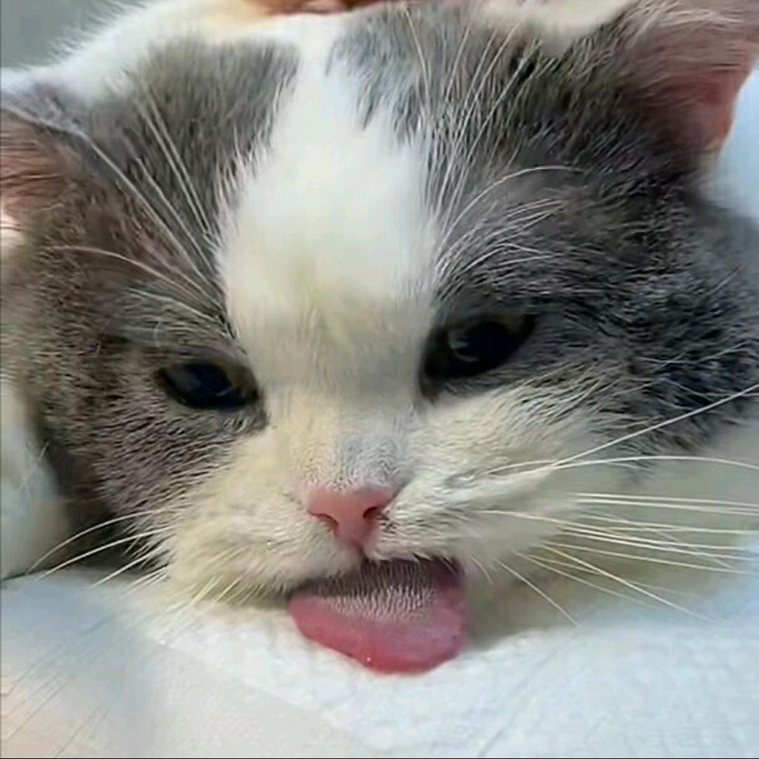 是浩南呀
