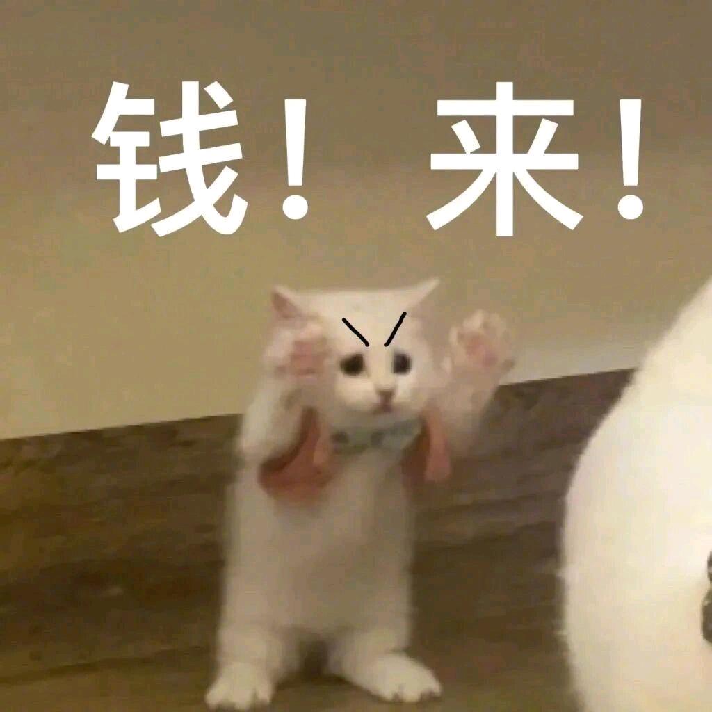 来福儿。