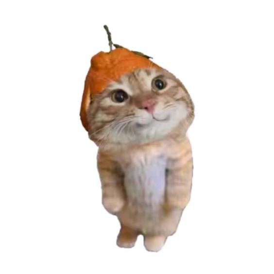 橘子西瓜