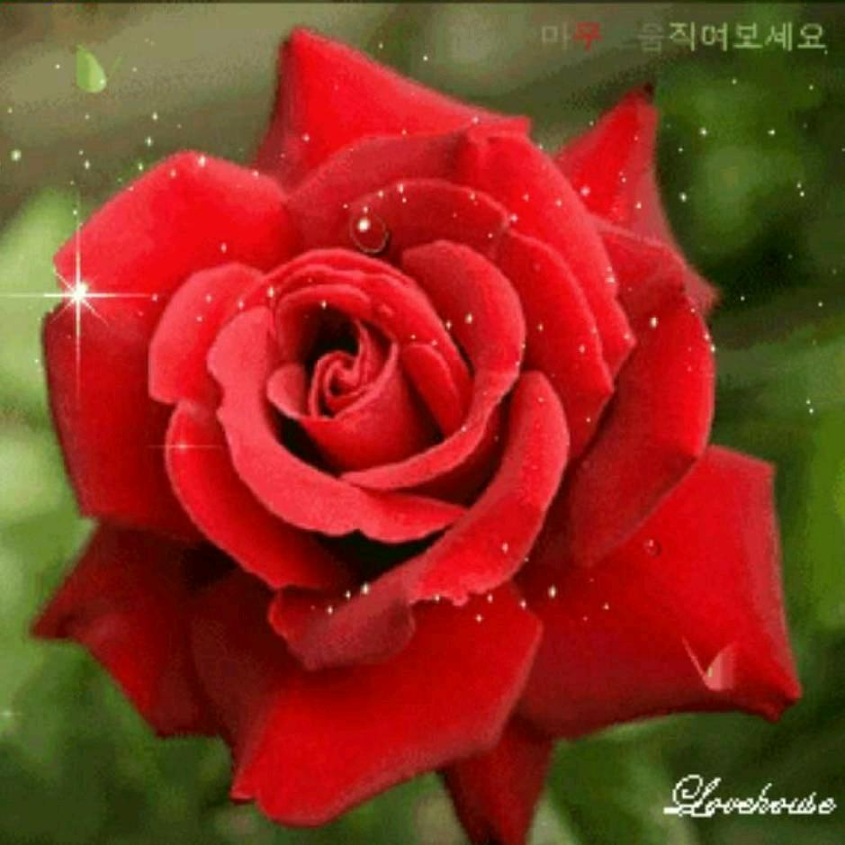 春暖花开
