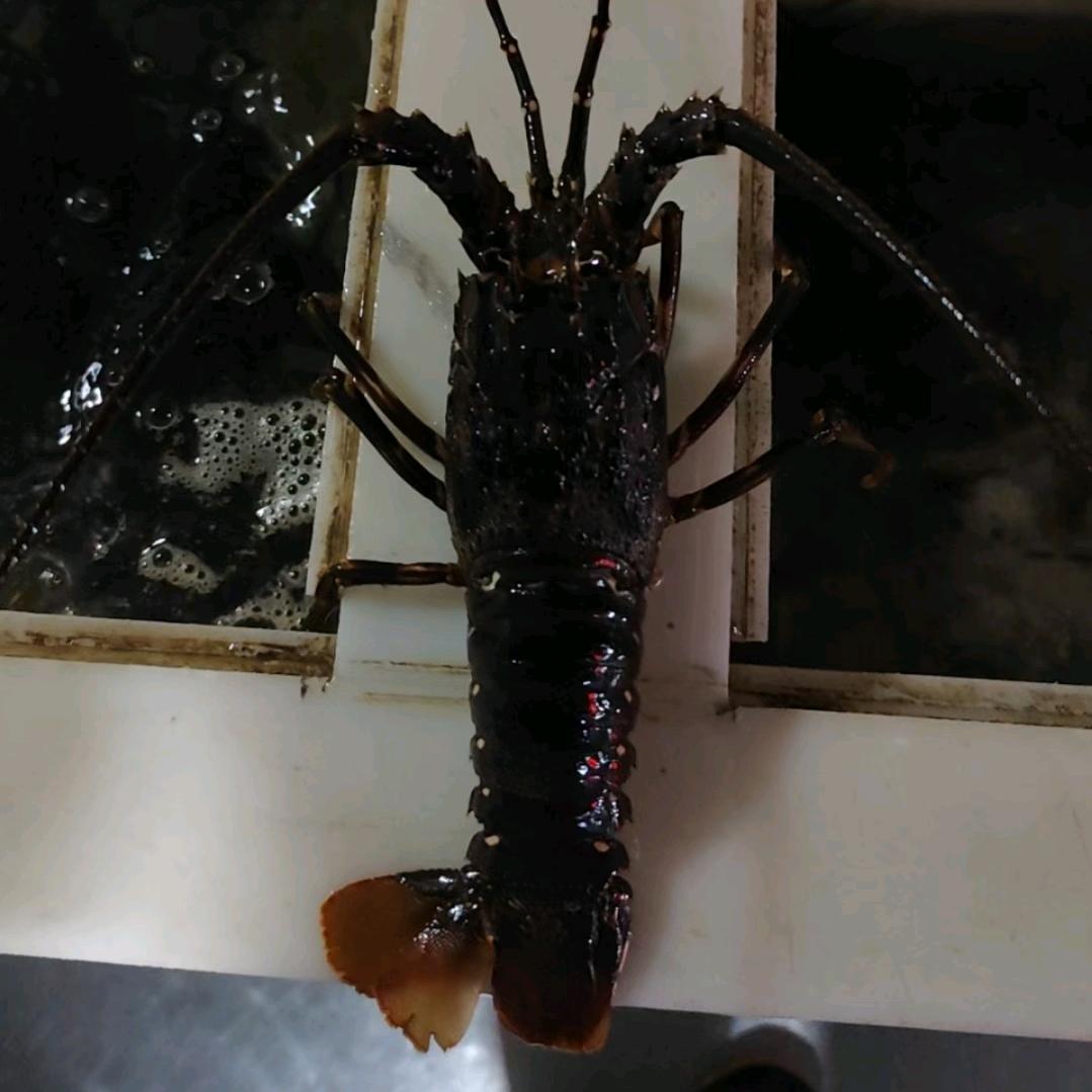 财富