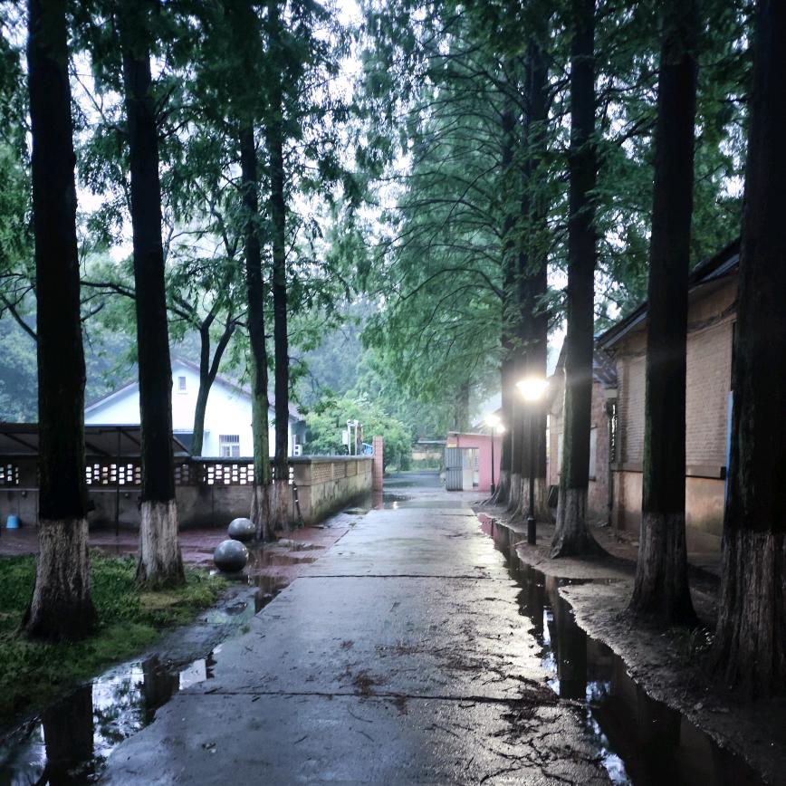 落尽梨花月又西