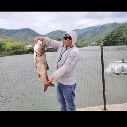 无名先生.ai🎣钓鱼