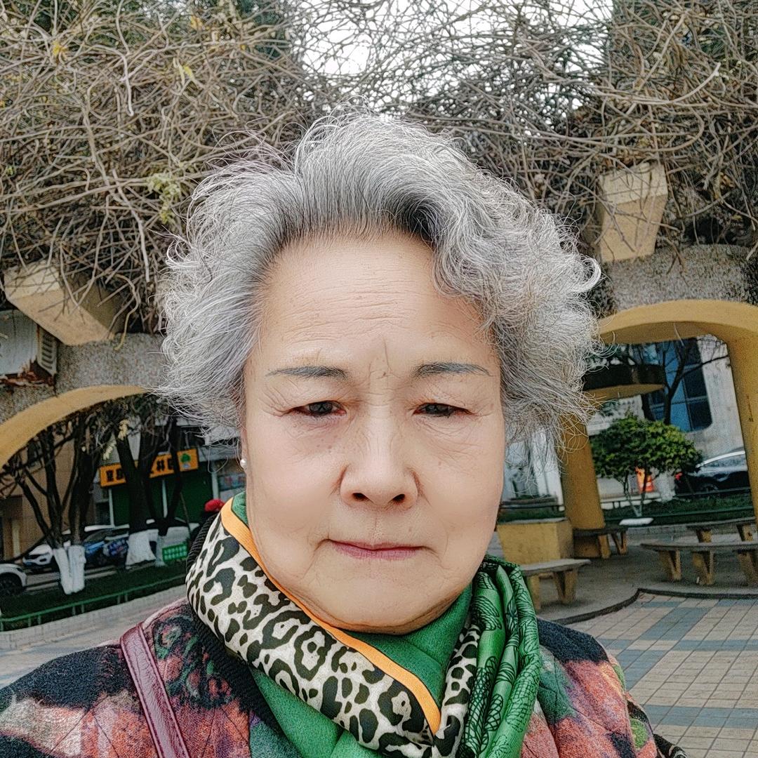 春天的草春天的草