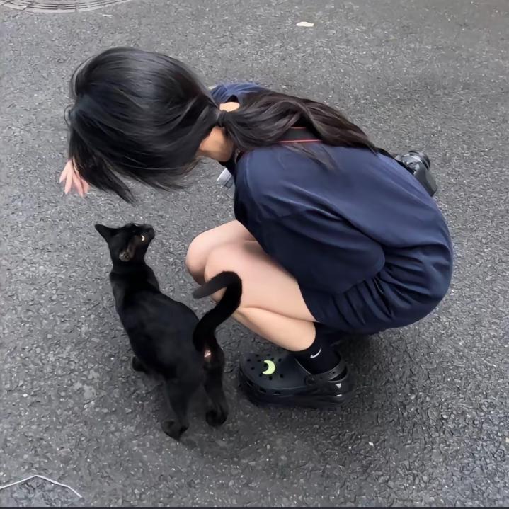 离心鲤鱼
