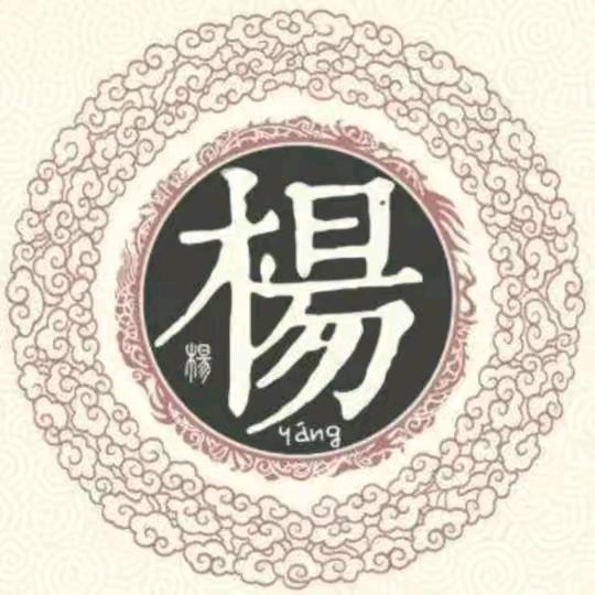 （楊）名震江湖