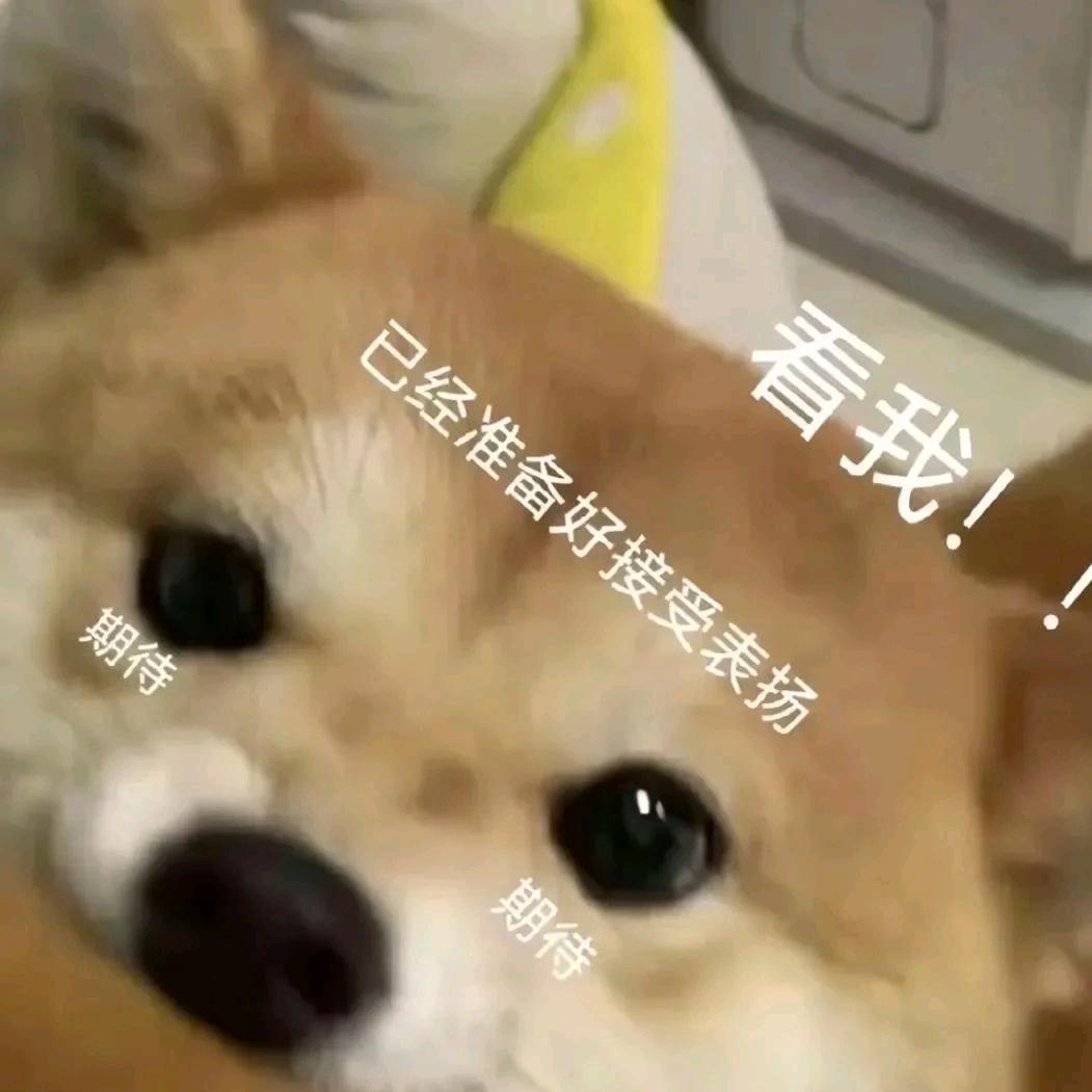 怡子