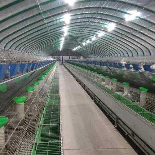 直播教养兔技术