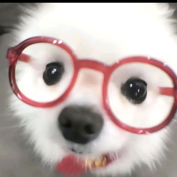 你怎么哭了