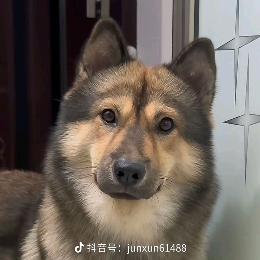 南晰