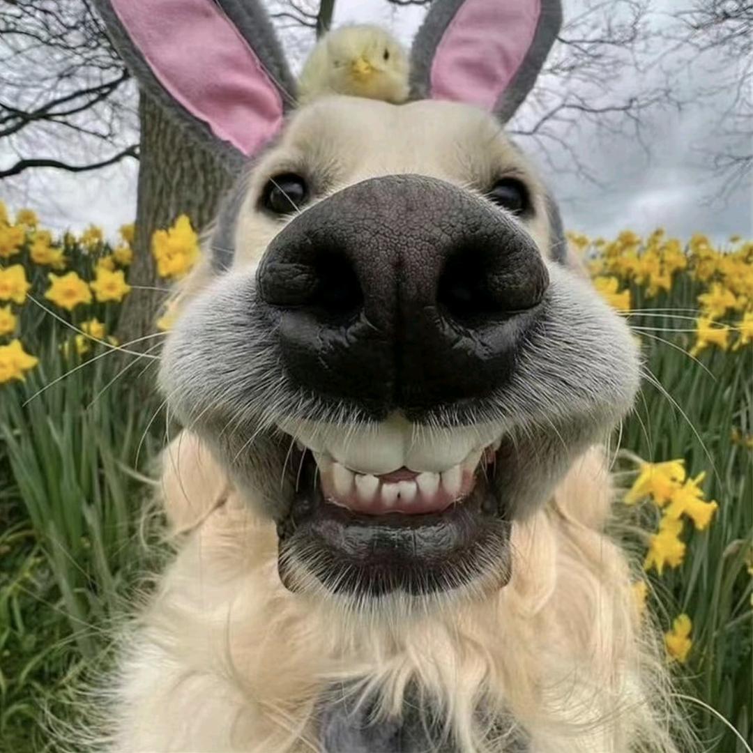 晓冰（八一广场女摄）