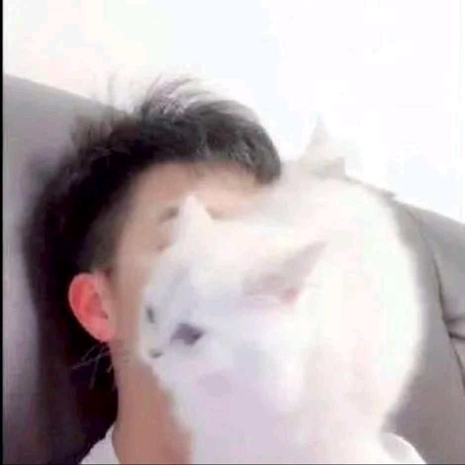 彬彬有礼⁶¹⁶