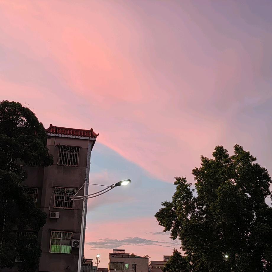 来南枝