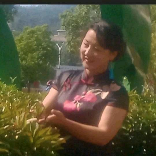 胜利镇玉妃茶行