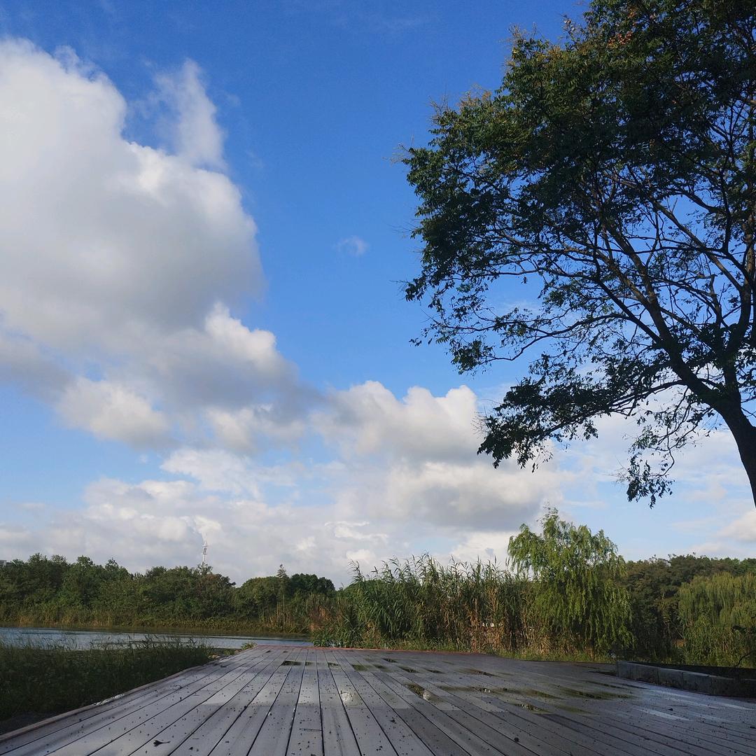 枫&＄杯 []~（￣▽￣）~*