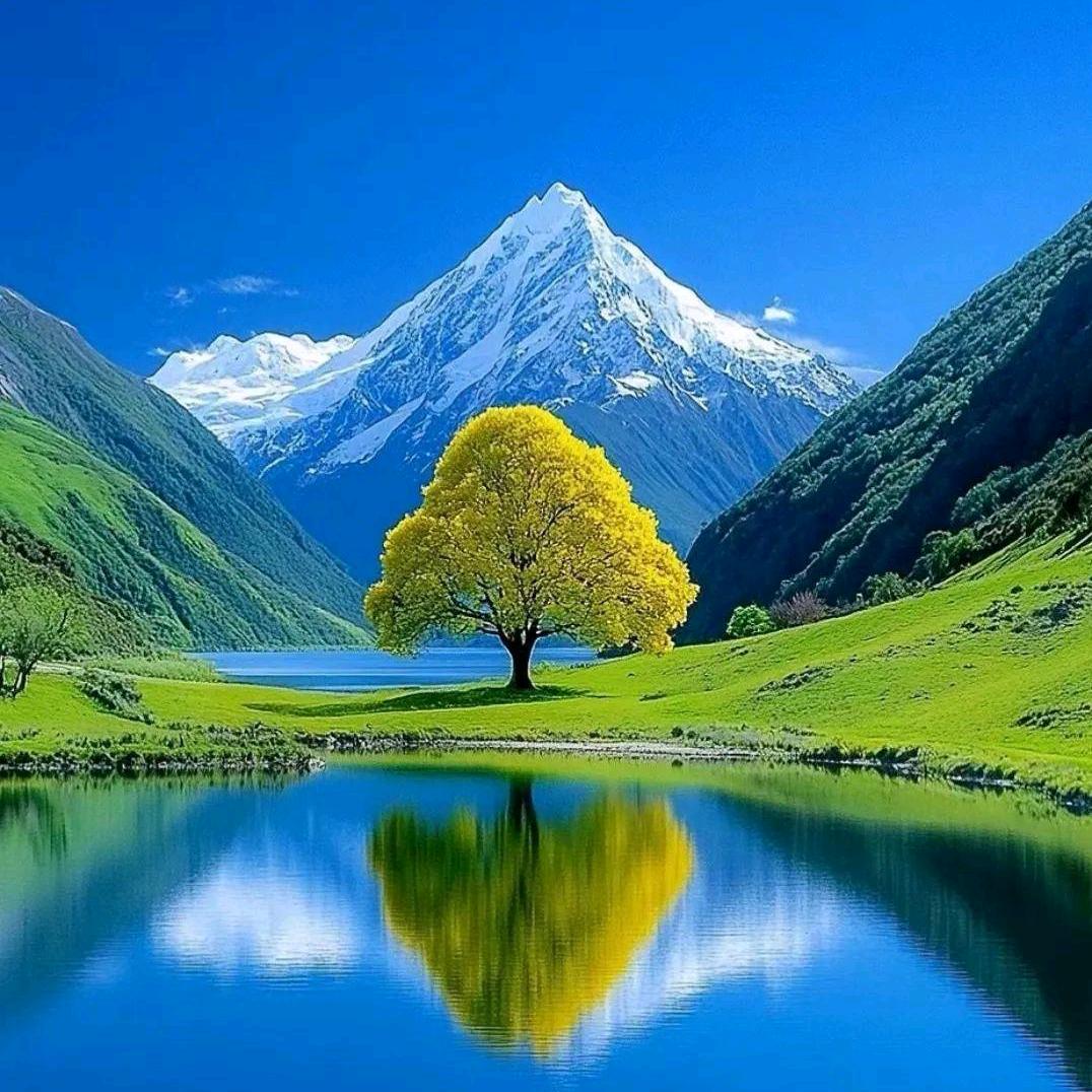 宁静致远
